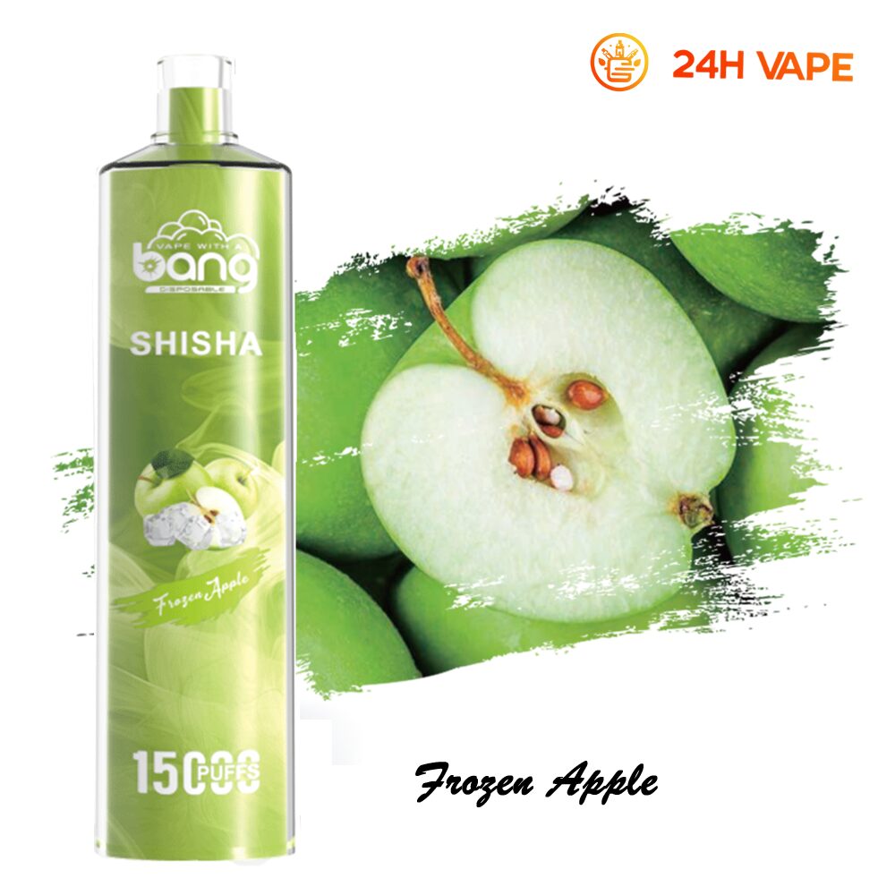 Bang SHISHA 15000 Puffs Direct To Lung Disposable Electronic Cigarette New Vape Pen