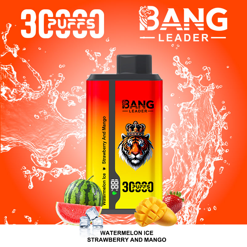 Bang Leader 30000 Puffs 2 in 1 Dual Flavors Disposable Vape 36ml 0-5% Nicotine