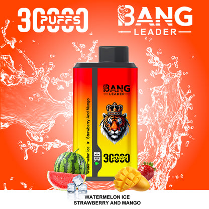 Bang Leader 30000 Puffs 2 in 1 Dual Flavors Disposable Vape 36ml 0-5% Nicotine