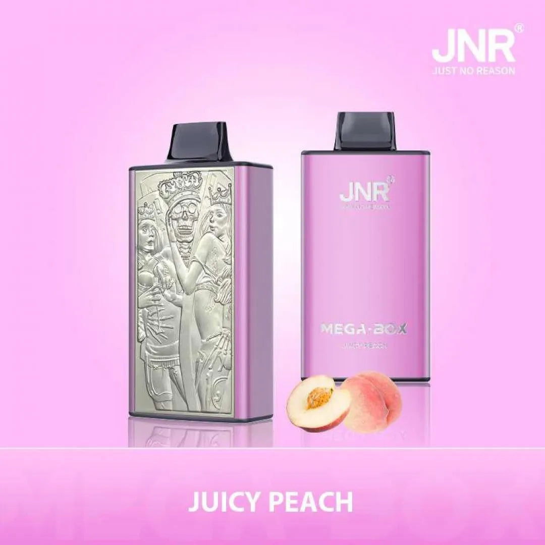 JNR Mega Box 25000 Puffs Original Edition Rechargeable Disposable Vape