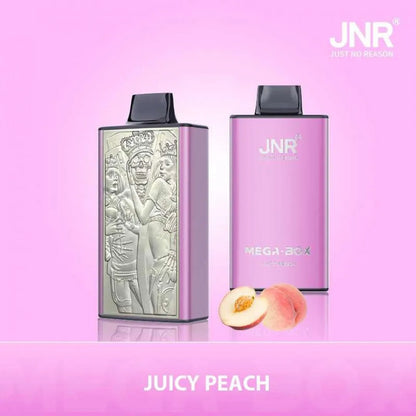 JNR Mega Box 25000 Puffs Original Edition Rechargeable Disposable Vape