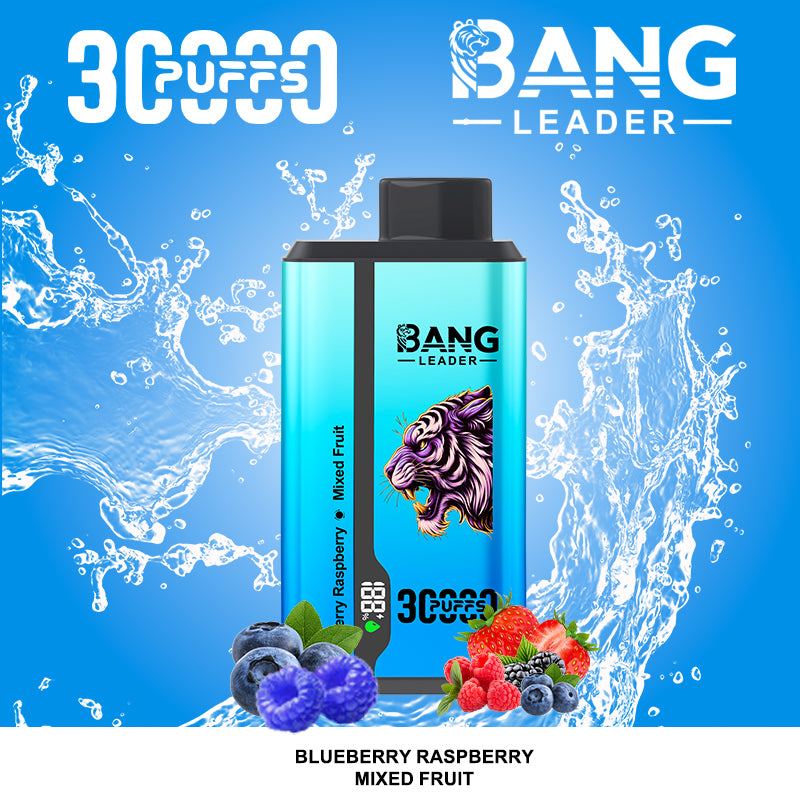 Bang Leader 30000 Puffs 2 in 1 Dual Flavors Disposable Vape 36ml 0-5% Nicotine