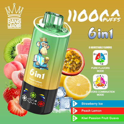 Bang Leader 110000 110K Puffs 6 in 1 Flavors Newest Original Rechargeable LED Display Disposable Vape