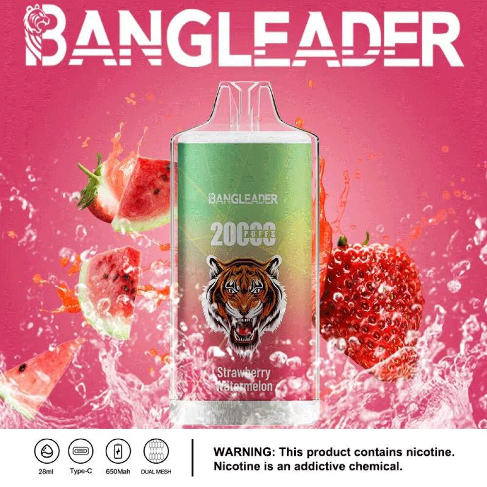 Bang Leader 20000 Puffs Disposable Vape 28ml 0-5% Nicotine LED Digital Display