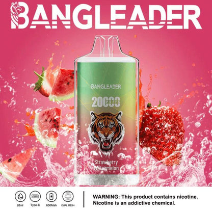 Bang Leader 20000 Puffs Disposable Vape 28ml 0-5% Nicotine LED Digital Display