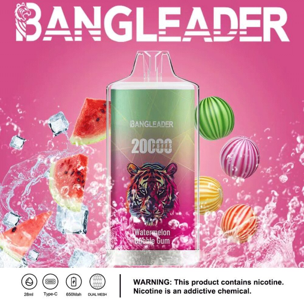 Bang Leader 20000 Puffs Disposable Vape 28ml 0-5% Nicotine LED Digital Display