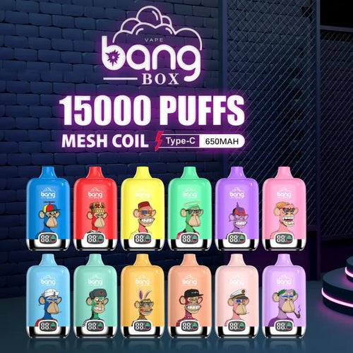 Bang Box 15000 15k Puffs Disposable Vape with Screen