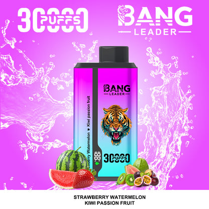 Bang Leader 30000 Puffs 2 in 1 Dual Flavors Disposable Vape 36ml 0-5% Nicotine